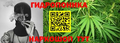 прущие крисы Апшеронск